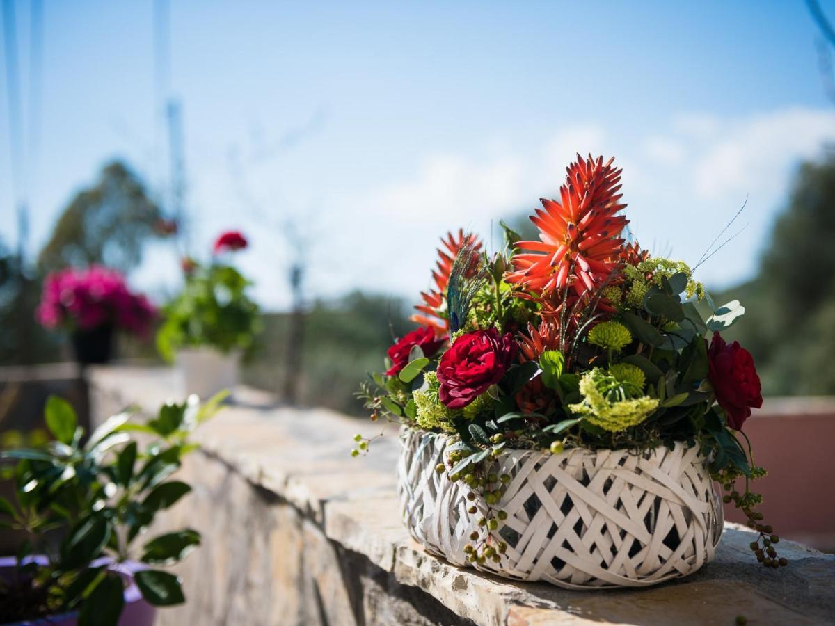 Sofias Cottage Razata Argostoli Dış mekan fotoğraf